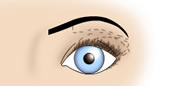 Maquillaje de Ojos Muy Juntos - Fig.1