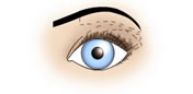 Maquillaje de Ojos Redondos y Grandes - Fig.1