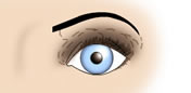 Maquillaje de Ojos Muy Separados - Fig.2
