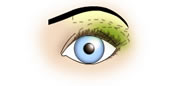 Maquillaje de Ojos Redondos y Grandes - Fig.4