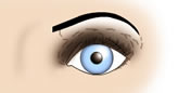 Maquillaje de Ojos Muy Separados - Fig.4